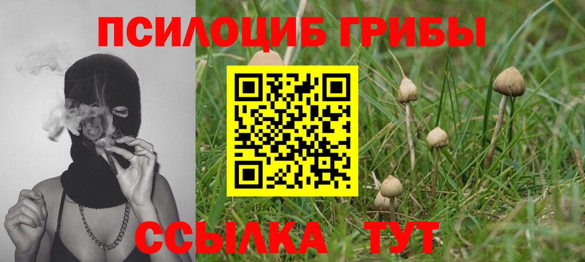 Псилоцибиновые грибы Psilocybine cubensis  Вход с VPN  где можно купить   Галлюциногенные грибы Cubensis  Ливны 