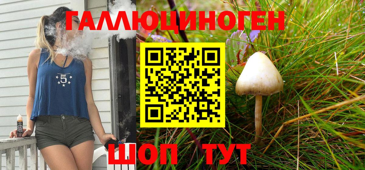 Галлюциногенные грибы Psilocybine cubensis Ливны